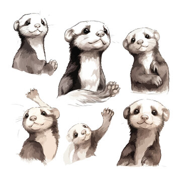 Playful Ferret Sketches Clipart 