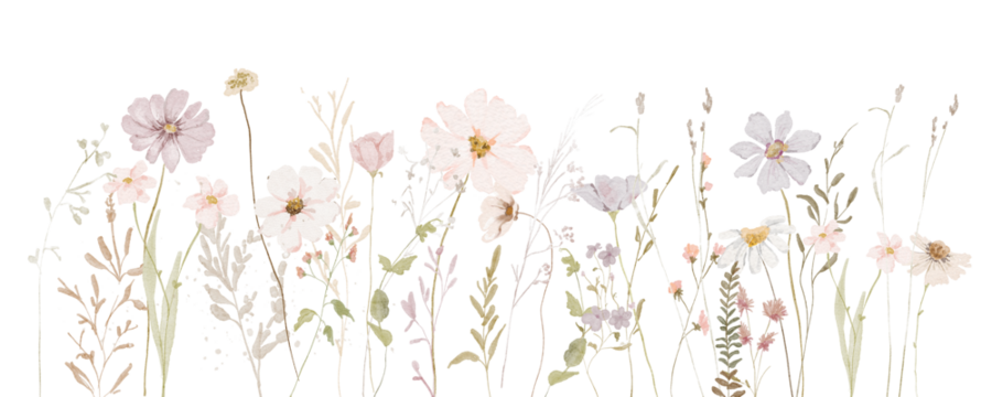 Watercolor Wildflowers border - illustration with delicate flowers, for wedding stationary, greetings, wallpapers, fashion, backgrounds, textures, DIY, wrappers, cards.