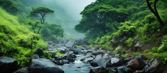 A river flowing amidst a vibrant green jungle landscape, with rocks and trees lining its banks, showcasing the beauty of natures fluvial landforms and terrestrial plants - obrazy, fototapety, plakaty