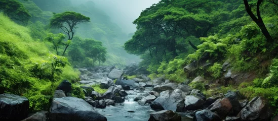  A river flowing amidst a vibrant green jungle landscape, with rocks and trees lining its banks, showcasing the beauty of natures fluvial landforms and terrestrial plants © 2rogan