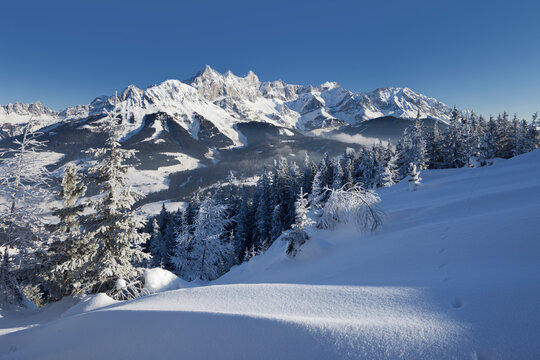 Blick vom Rossbrand auf  Hoher Dachstein, Filzmoos, Salzburg Land, &Ouml;sterreich