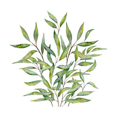 Composition of branches with green leaves on on transparent background. Watercolor illustration hand drawn for creating cards, textile print and creativity.