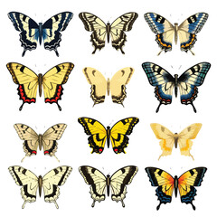 Swallowtail Butterflies Clipart 