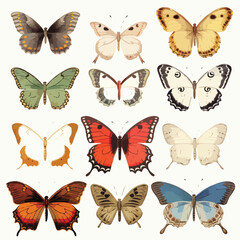 Vintage Butterfly clipart isolated on white background