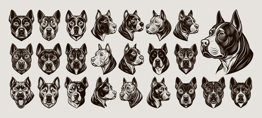 Collection of hand drawn pitbull dog head illustration design