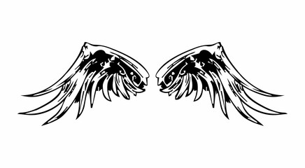 black and white wings