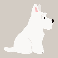 Simple and adorable white Scottish Terrier illustration sitting in side view flat colored