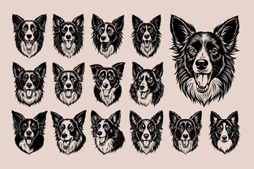 Barking border collie dog head illustration design bundle