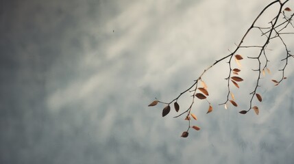 A thin branch of a plant on an abstract gray background. Natural shadows and sunlight on the concrete wall. Minimalism.