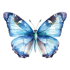 Watercolor Butterfly Clipart 