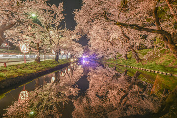 Landscape Night View Of Cherry Blossoms (Sakura) With River and Bridge Reflaction At Hirosaki Cherry Blossom Festival
