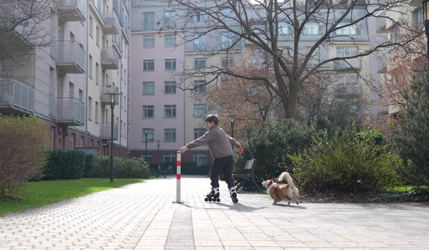 Boy roller skating with his corgi dog
