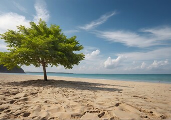 Beautiful sandy beach with tree summer