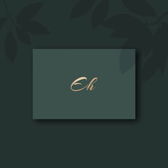 Eh logo design vector image