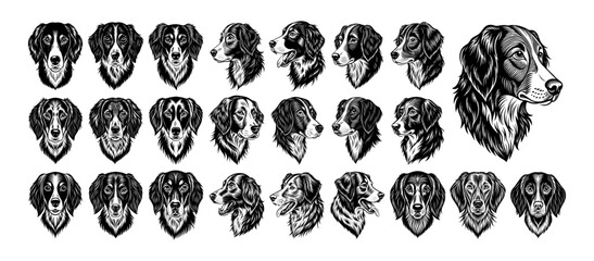 Collection of hand drawn brittany dog head design vector - obrazy, fototapety, plakaty