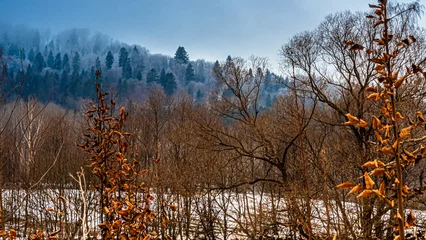 Foto auf Leinwand Winter views of the Poprad Landscape Park on the Poprad River in the Beskid Sadecki mountains. © Zdzislaw