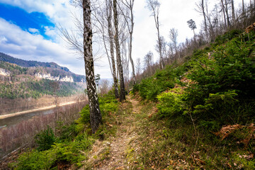 Wanderweg im Elbsandsteingebirge bei Reinhardtsdorf 1