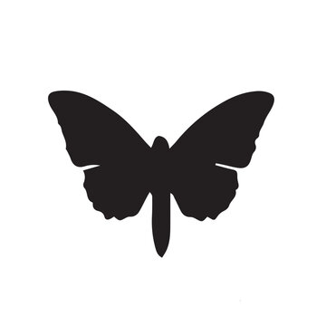 butterfly silhouette tattoo,butterfly silhouette images,butterfly silhouette outline ,butterfly silhouette png