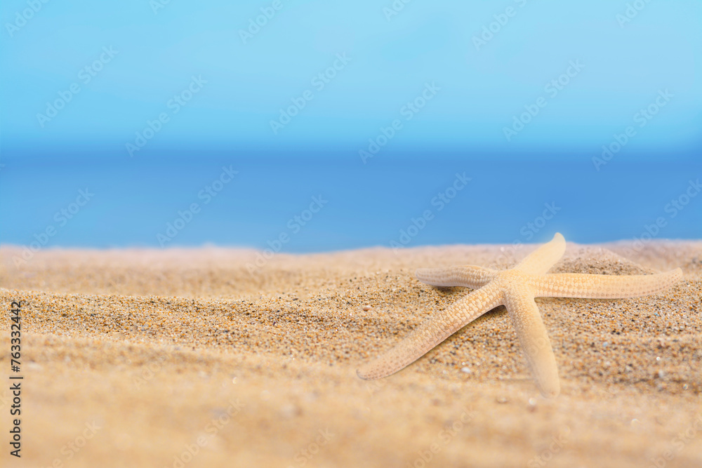 Poster Starfish on sandy beach near sea, space for text