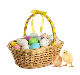 Happy Easter. Painted eggs in wicker basket and cute chicks isolated on white