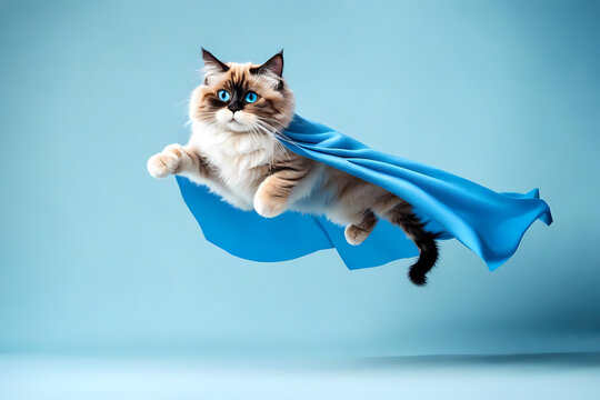 superhero cat, Cute ragdoll with a blue cloak jumping and flying on light blue background with copy space