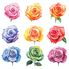 Watercolor Rainbow Roses Clipart