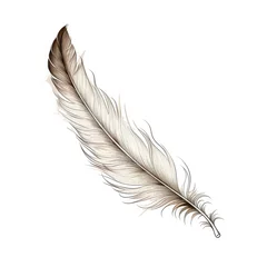 Keuken foto achterwand Veren Bird Feather Hand Drawn Illustration Isolated on White Background, Elegance Curly Bird Feather