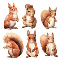 Watercolor Squirrels Clipart 