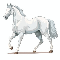 White Horse Clipart isolated on white background