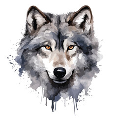Wolf Portrait Clipart  isolated on white background