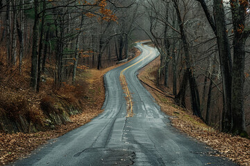 Fototapeta premium A photo of a long and winding road going through a heavily wooded area
