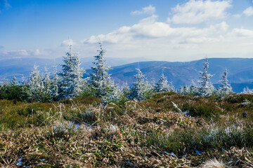 Zima w górach. Beskid Śląski na Śląsku w Polsce, rejon najwyższego szczytu w Beskidzie Śląskim, Skrzycznego