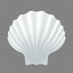 White seashell. Template isolated on transparent background. Stock vector illustration