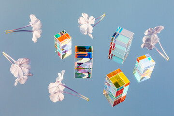 Beautiful flowers and glass geometric prism cubes with light diffraction of rainbow spectrum colors on blue sky mirror reflection background. Sun, trendy sunlight and shadows. Overhead view, flat lay.