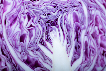 Obraz premium Closeup of a halved purple cabbage, a vibrant natural food ingredient
