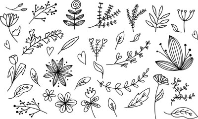 Floral graphic elements big vector set. Flowers and plants hand drawn illustrations