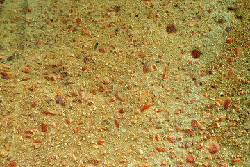 cement texture with striking yellow stone grains. for background and wallpaper
