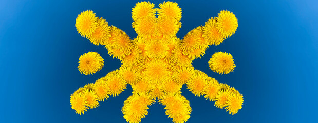A composition of bright yellow dandelion flowers in the shape of a sun in the center of a blue sky in the background. 