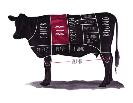 Illustrated beef cuts chart with labeled sections on a cow silhouette for culinary use