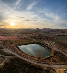 Spectacular aerial drone view of flower buds and pink in Aitona, Lleida, Near Barcelona, Europe. Rose romantic and love wedding landscape. Abstract