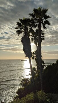 Southern California beaches, sunsets, surfers, tide pools and palms trees at Swamis Reef Surf Park and Moonlight Beach in Encinitas California.