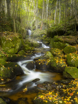 Ysper Klamm, Ysper Bach, Waldviertel, Nieder&ouml;sterreich, &Ouml;sterreich