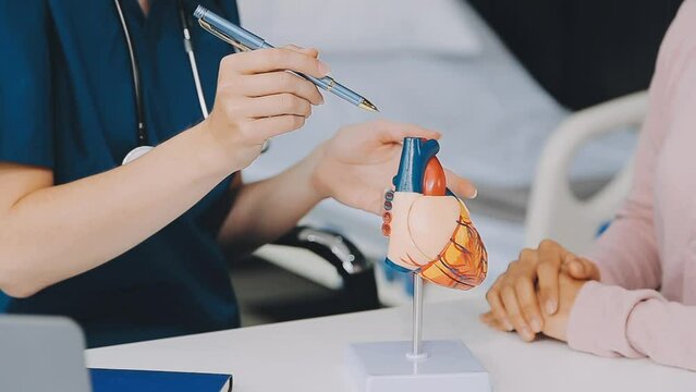 Cardiology consultation, treatment of heart disease. Doctor cardiologist while consultation showing anatomical model of human heart