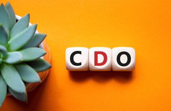 CDO - Collateralized Debt Obligation symbol. Wooden cubes with word CDO. Beautiful orange background with succulent plant. Business and Collateralized Debt Obligation concept. Copy space.