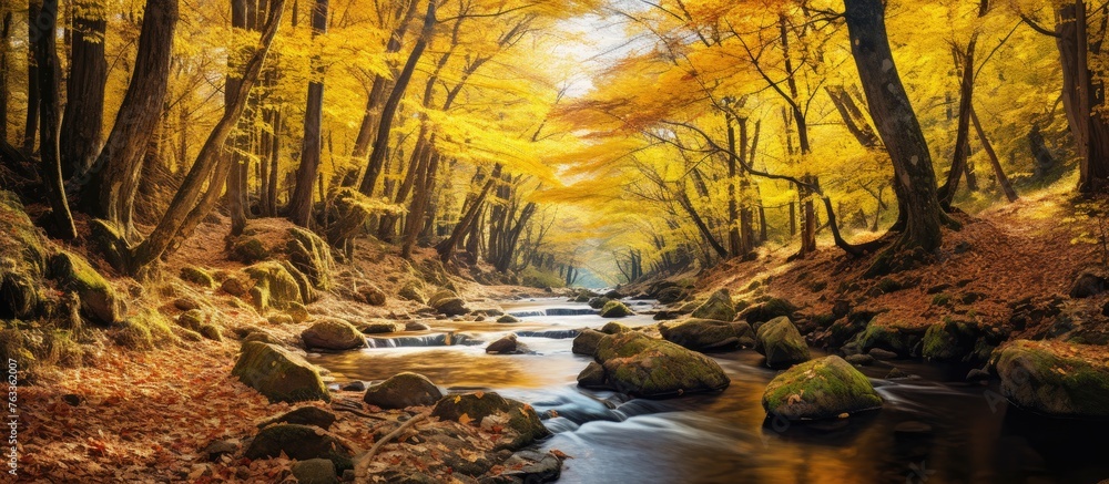 Poster stream flowing through dense forest with autumn trees