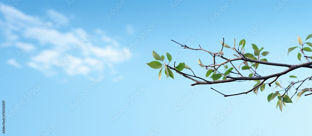Aufkleber a bird perched on a tree branch