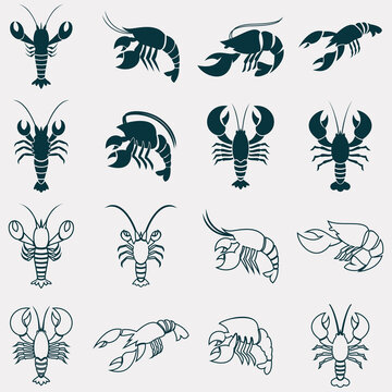  collection of lobster logos