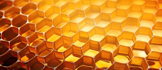 Close-up view of a honeycomb filled with abundant honey