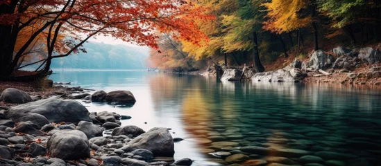 Foto op Aluminium Rushing river with rocks and trees, blurred water, autumn landscape © vxnaghiyev