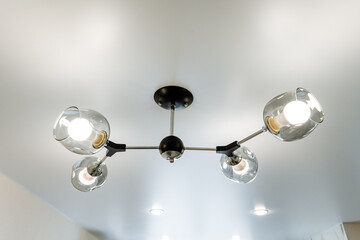 Artistic ceiling fixture, a chandelier hangs elegantly from above in a room
